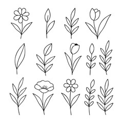 Botanical Line Art Icons — Elegant Minimalist Nature Series, A curated collection of fifteen botanical line art icons featuring diverse floral and leaf motifs — crafted in minimalist style and arrange