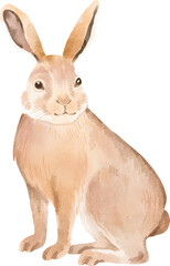 watercolor rabbit