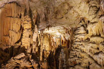 Postojna cave in Slovenia