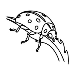 Black line art ladybug on a leaf illustration insect