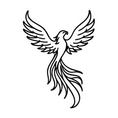 Black Line Art Phoenix Bird with Wings Spread on White Background