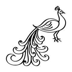 Obraz premium Black Line Art Peacock Illustration on White Background