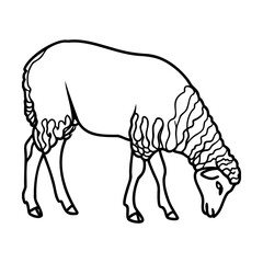 Obraz premium Black and white line art sheep grazing on white background