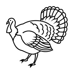 Black and White Turkey Illustration on White Background with Detailed Feather Tail