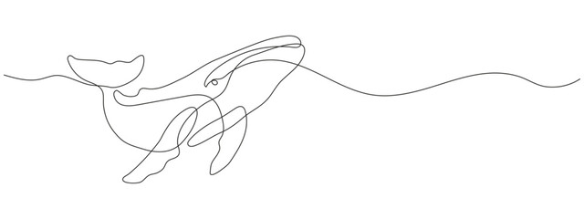 Continuous one line drawing of a whale. Minimalist humpback whale illustration in linear style. Hand drawn vector outline of ocean animal. Simple marine life line art.