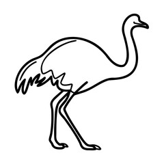 Black Outline Ostrich Illustration on White Background