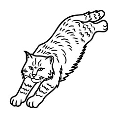 Black and White Jumping Bobcat One Line Art Illustration