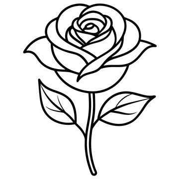 Rose of Golap Line art.