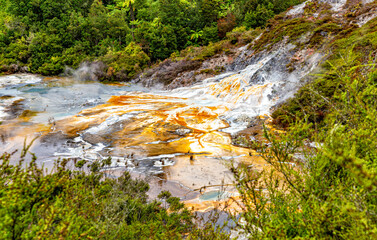 Artist's Palette, Orakei Korako Park, Taupo, North Island, New Zealand, Oceania.