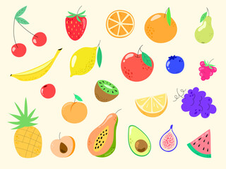 Colorful Hand drawn illustration set of fruits and berries for beautiful design