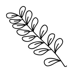 Black Line Art Leafy Branch on White Background leaves
