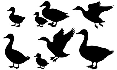 Silhouette illustration of ducks and geese flying