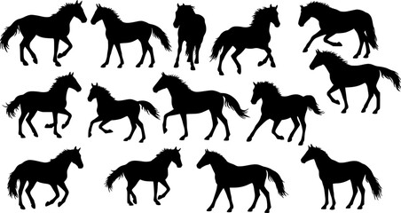 vector silhouettes of horses