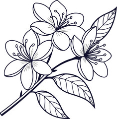 Elegant Line Art Drawing of Blooming Flowers Branch