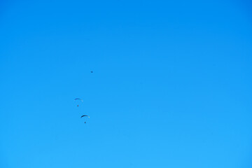 Blue Sky with Paragliders  Tandem Paragliding in Clear Blue Sky