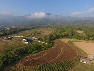 rice paddies and farmland, arranged in beautiful, flowing contours. The fields appear to be at...
