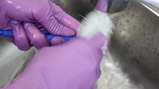 Dental Hygienist Washing Tool Under Running Water, Close-up video of a dental hygienist in purple gloves rinsing a dental scaler under a faucet for cleaning and disinfection.
