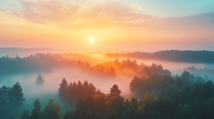Sunrise over misty forest in summer morning, vibrant natural colors, peaceful nature landscape