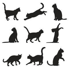 Collection of Black Silhouette Cat Poses on a White Background