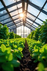 Sunlit Greenhouse Lush Green Plants Thriving in Sustainable Eco-Friendly Farming