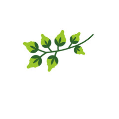 Fototapeta premium Green Leafy Branch Illustration-Nature Inspired Graphic-Botanical Element for Design Projects-Fresh Foliage Art-Vector Leaf Image-Organic Design-Plant Illustration