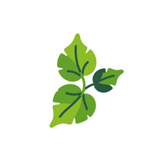 Obraz premium Green Leaves Illustration-Natural Plant Design-Botanical Art for Backgrounds-Leafy Pattern Image-Eco Friendly Concept Art-Fresh Foliage Graphic-Nature Inspired Design Element