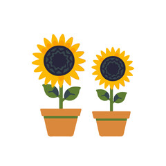 Obraz premium Two Sunflower Plants in Pots Illustration-Bright Yellow Petals and Green Leaves-Gardening and Floral Design-Simple Flower Art-Summer Blooms Decor