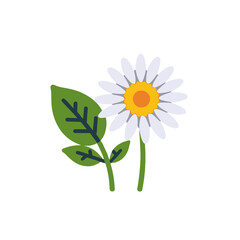 White Daisy Flower Illustration-Cute Floral Design with Green Leaves-Spring Flower Clipart-Botanical Artwork for Nature Lovers-Floral Graphic Element