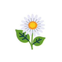 White Daisy Flower Image-Floral Illustration with Green Leaves-Springtime Daisy Graphic-Daisy Clipart for Crafts-Floral Design Element-Nature Inspired Artwork