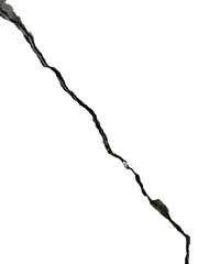 Long vertical wet asphalt crack with moss is isolated.