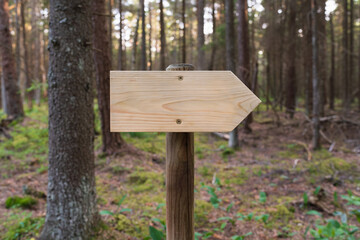 A wooden sign in the shape of an arrow against a summer forest background points to the right....