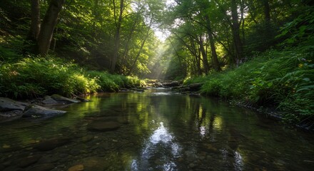 Sunlit Stream Through Lush Green Forest, Tranquil Water Reflection, Serene Nature Scene