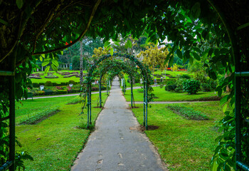 Stormy weather over Peradeniya Royal Botanical Garden in Kandy, Sri Lanka