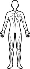 Varicose Veins Medical Vector with Human Body Outline