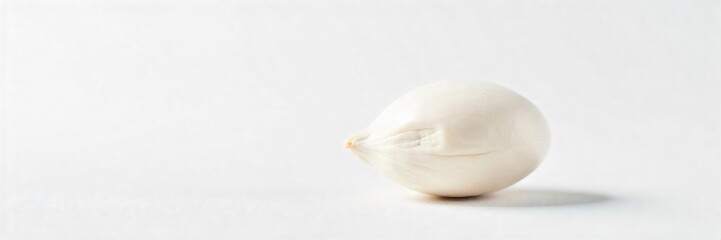 Single White Seed Close-Up Delicate Texture, New Beginnings, Growth Potential