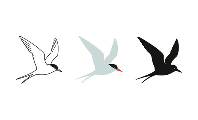 Fototapeta premium Three stylized flying birds with minimalist design in black and white variations