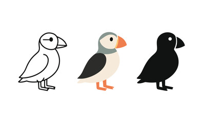 Fototapeta premium Puffin in three styles: outline, color, silhouette minimalist art