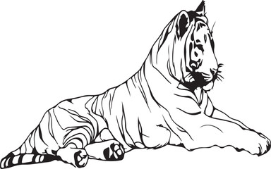 Elegant black-and-white minimalist line art of a tiger lying down, one continuous line