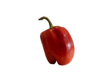 red pepper isolated on transparent background
