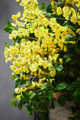 Yellow artificial flowers, street decor