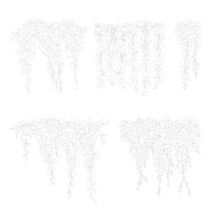 Ivy, cad ivy, vector vegetation, bush