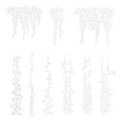 Ivy, cad ivy, vector vegetation, bush