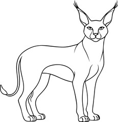 Obraz premium Stylized Caracal Illustration Vector in Artistic Line Art