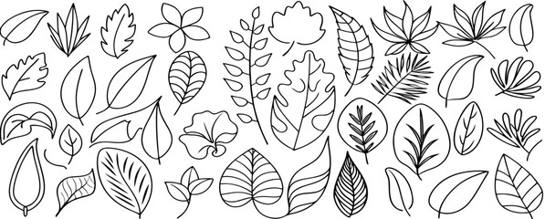 Fototapeta premium Hand Drawn Outline Tropical & Botanical Leaves Set