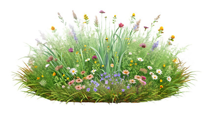 A colorful assortment of wildflowers and grasses isolated on transparent background