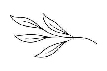 Black Line Drawing of Leaves on a Stem leaf branch