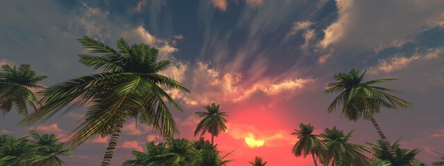 Sunset among palm trees, palm trees and sky, 3D rendering