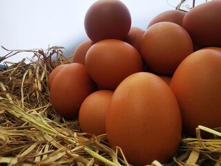 Group of brown chicken eggs placed on dry straw in warm natural light.