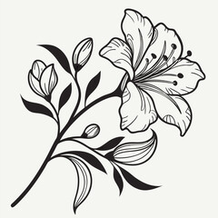 Background with flowers art illustration flower line