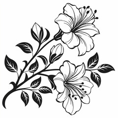 Background with flowers art illustration flower line